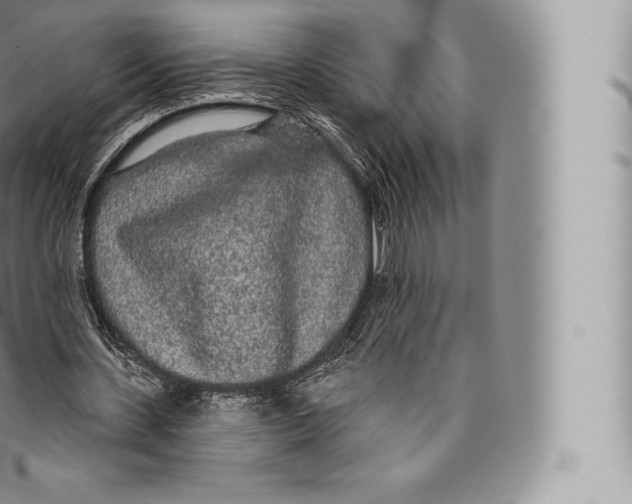 X0000096490531200802141748