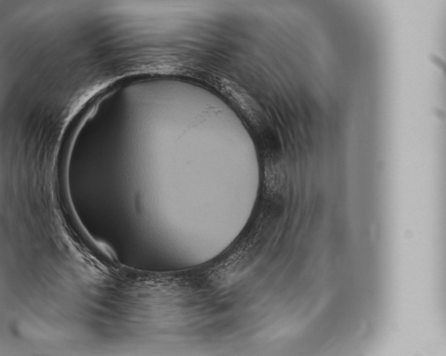 X0000096490532200802141748