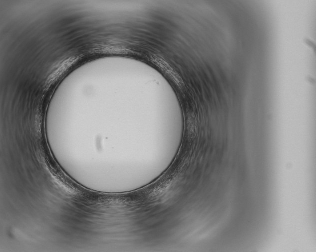 X0000096490533200802141748