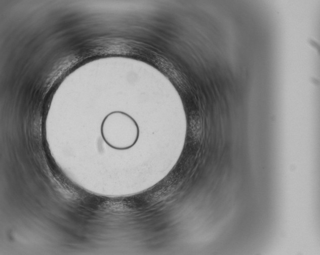 X0000096490534200802141748