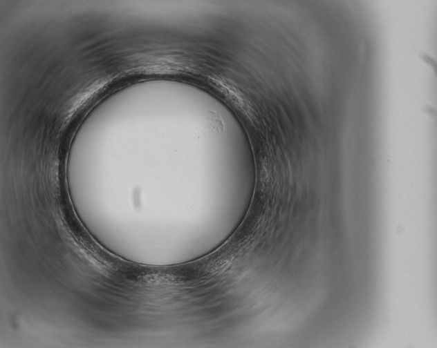 X0000096490535200802141748