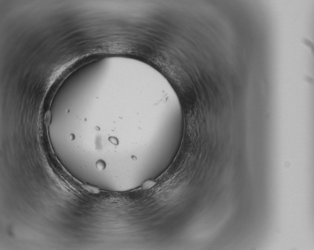 X0000096490536200802141748