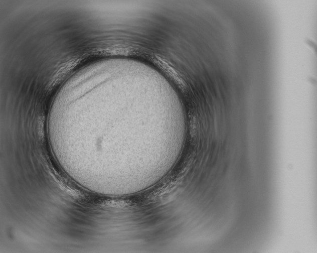 X0000096490537200802141748