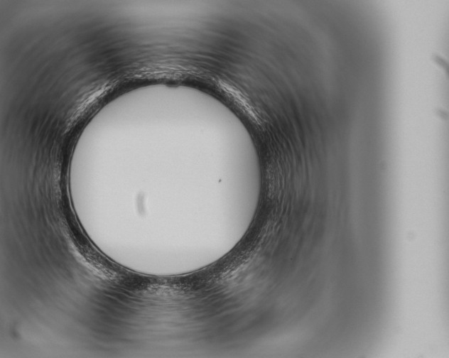 X0000096490538200802141748