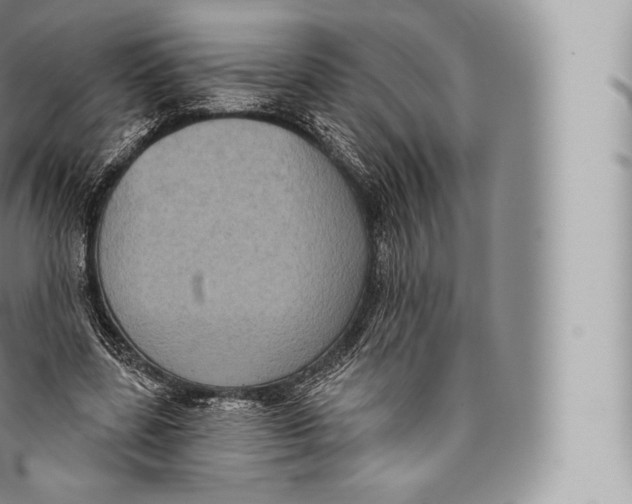 X0000096490539200802141748