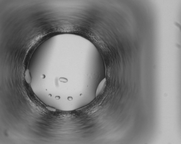 X0000096490540200802141748