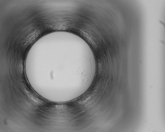 X0000096490541200802141748