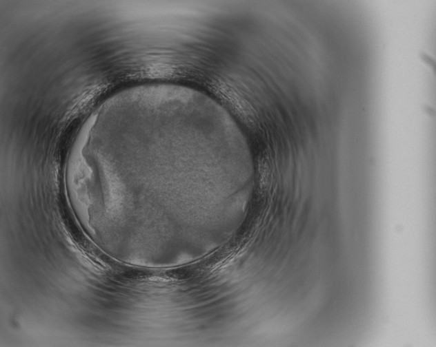 X0000096490542200802141748