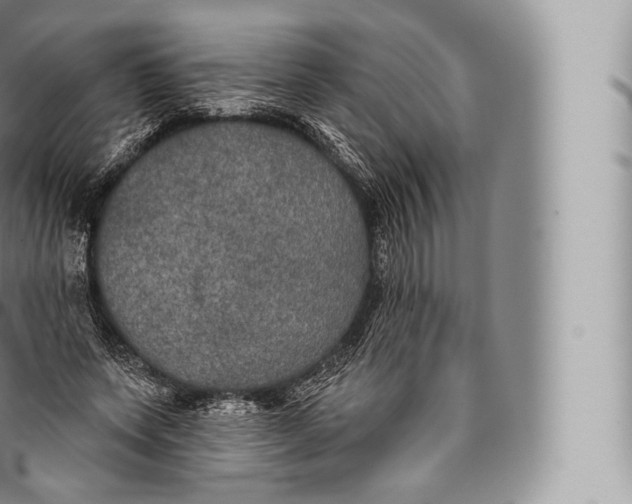 X0000096490543200802141748