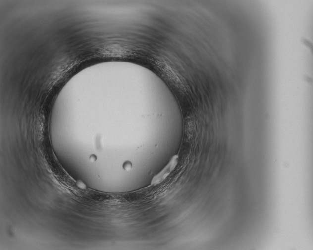 X0000096490544200802141748