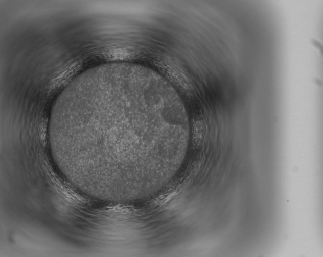 X0000096490545200802141748