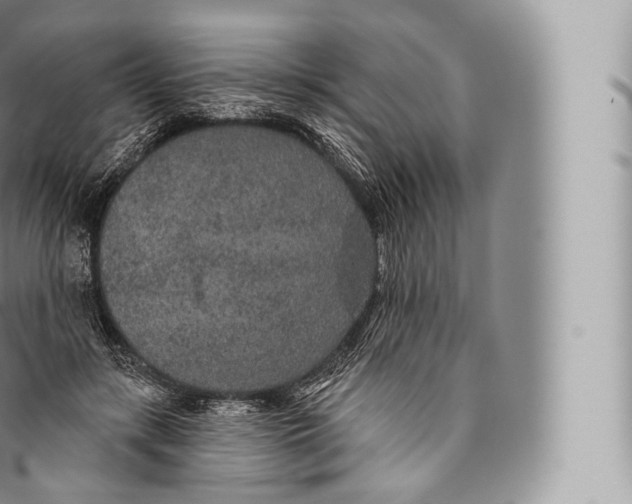 X0000096490547200802141748