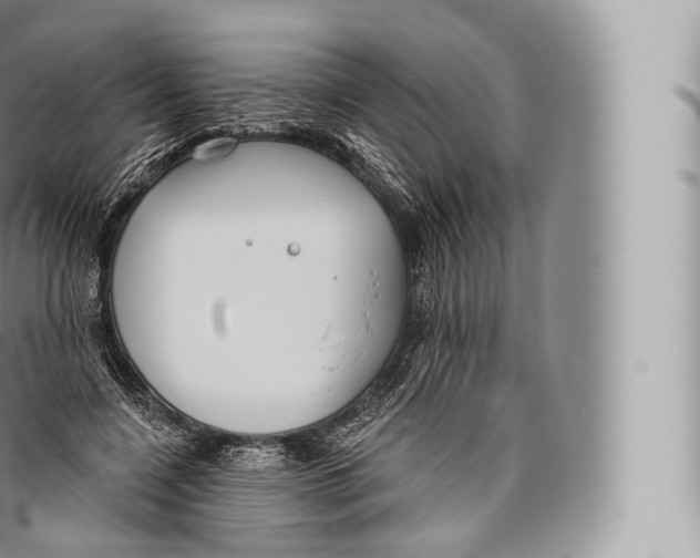 X0000096490548200802141748