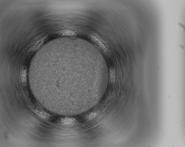 X0000096490549200802141748