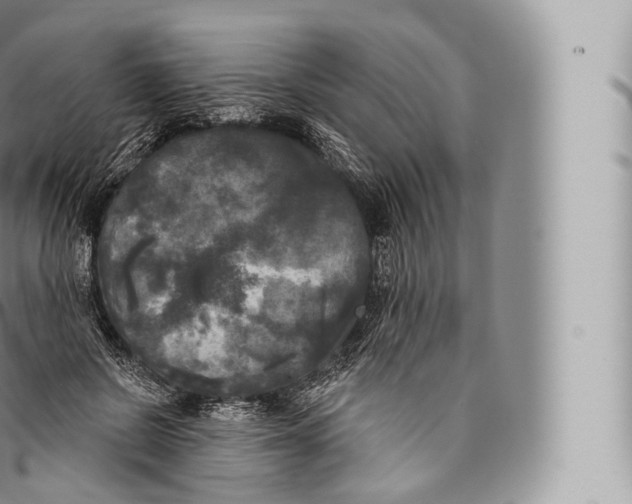 X0000096490550200802141748