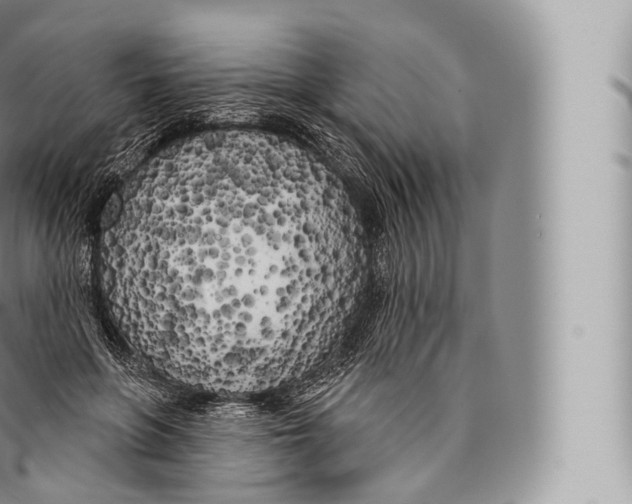 X0000096490551200802141748