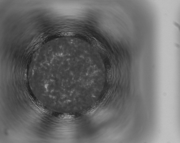 X0000096490553200802141748