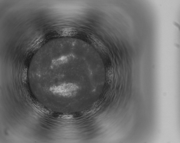 X0000096490554200802141748