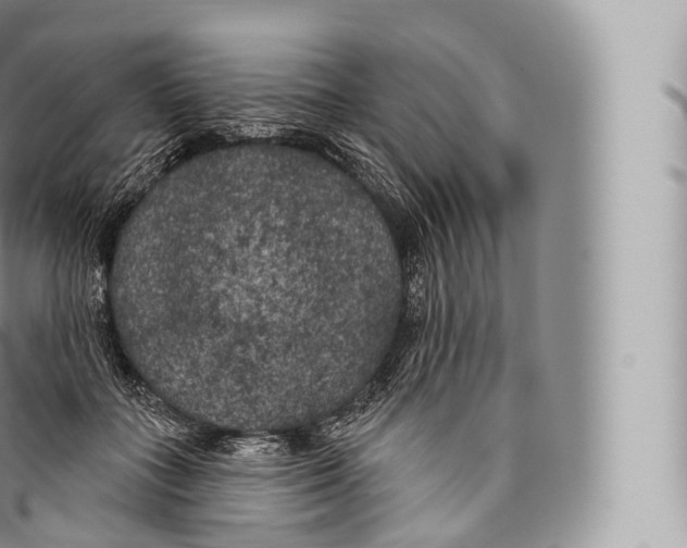 X0000096490555200802141748