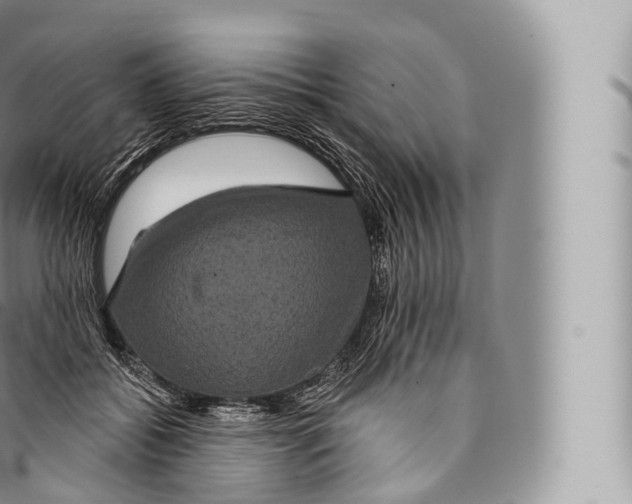 X0000096490556200802141748