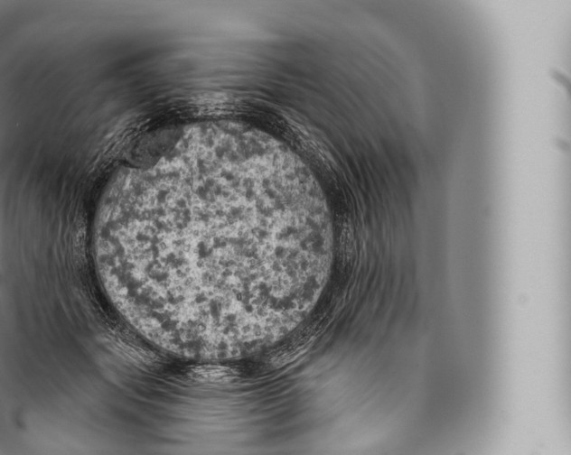 X0000096490557200802141748