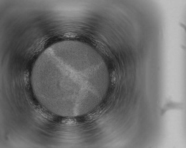 X0000096490559200802141748