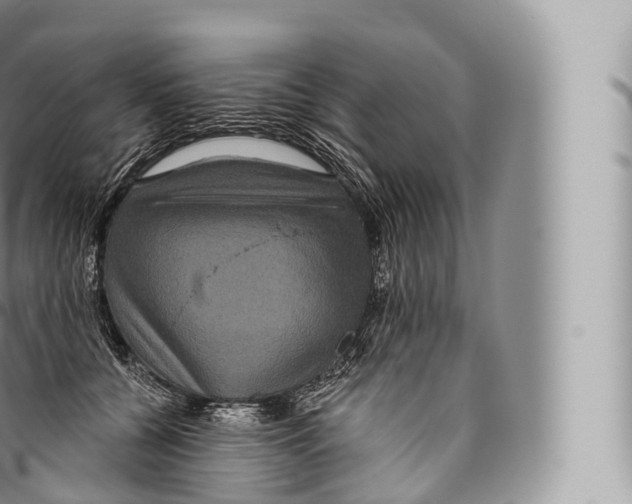 X0000096490560200802141748