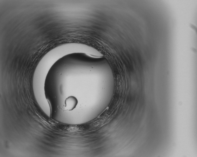 X0000096490562200802141748