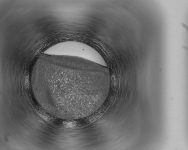 X0000096490564200802141748