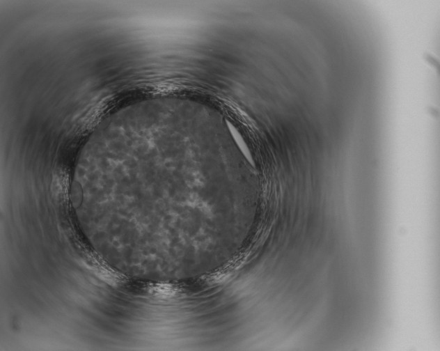 X0000096490565200802141748