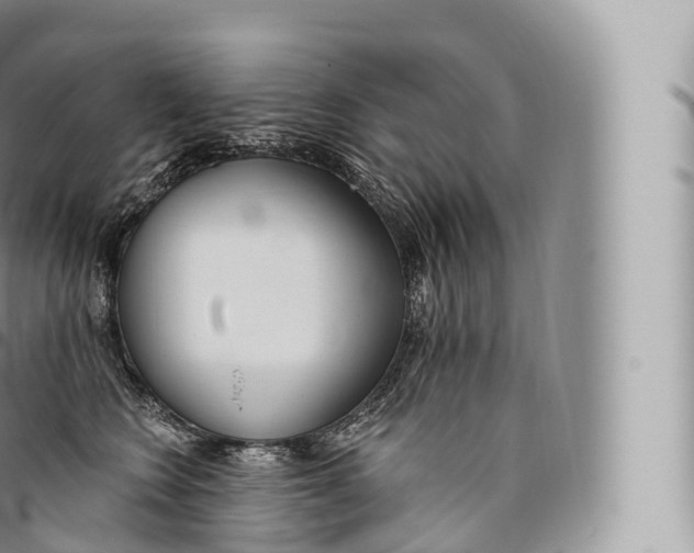 X0000096490566200802141748