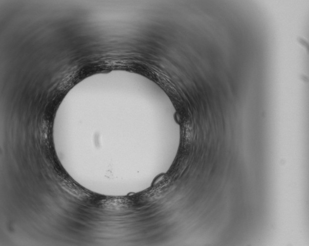 X0000096490567200802141748