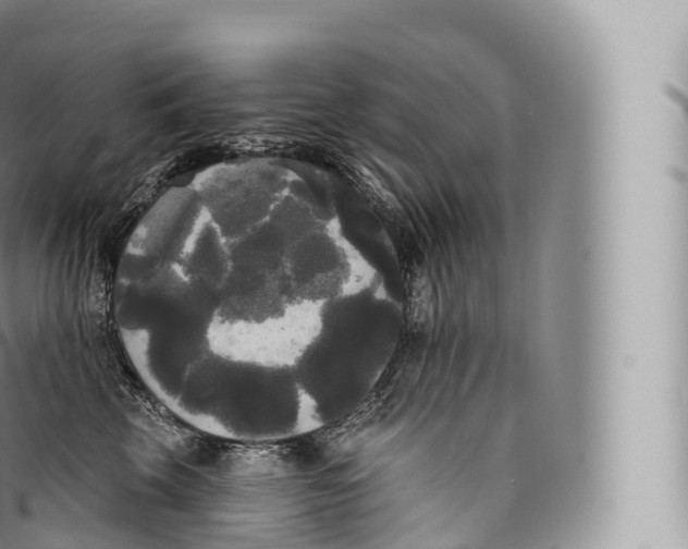 X0000096490569200802141748