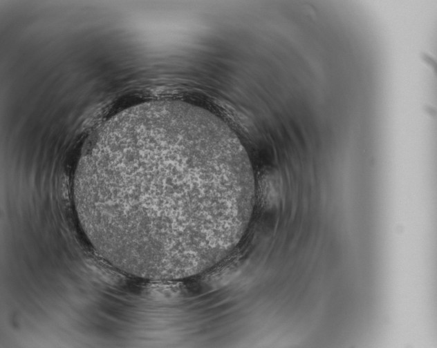 X0000096490571200802141748