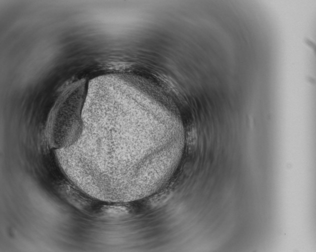 X0000096490572200802141748