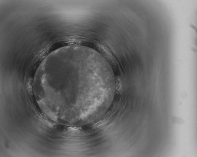 X0000096490573200802141748