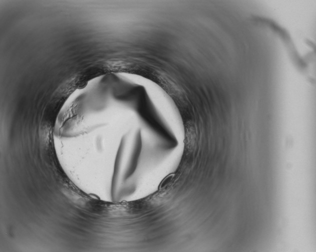 X0000096490574200802141749