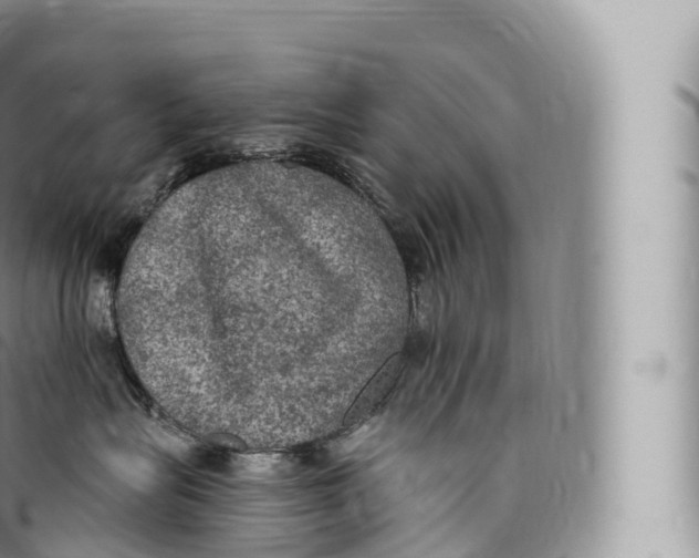 X0000096490575200802141749