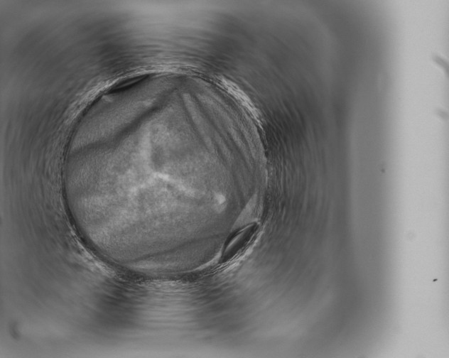 X0000096490577200802141748