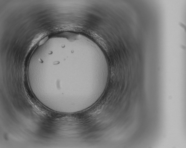 X0000096490578200802141748