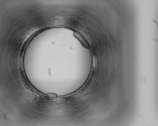 X0000096490579200802141748