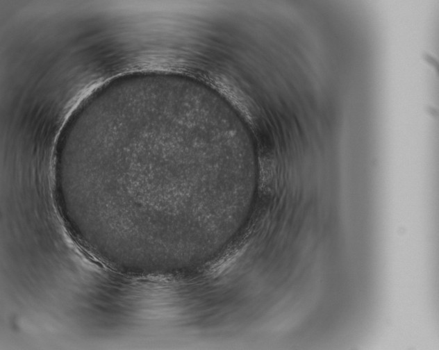 X0000096490580200802141748