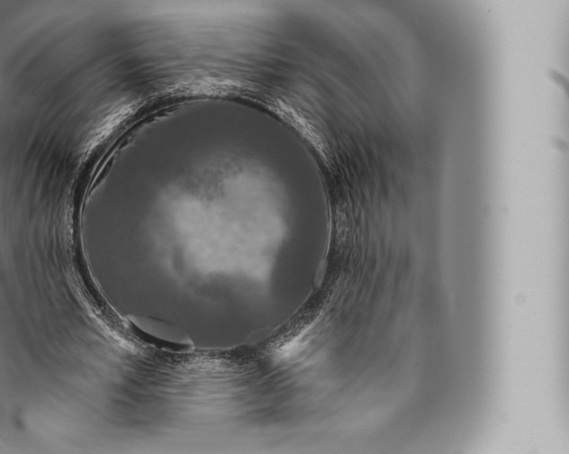 X0000096490581200802141747