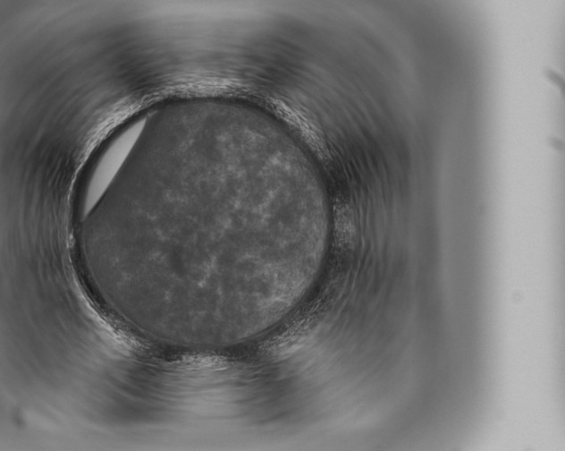 X0000096490582200802141747