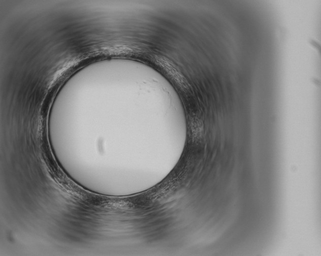 X0000096490583200802141747