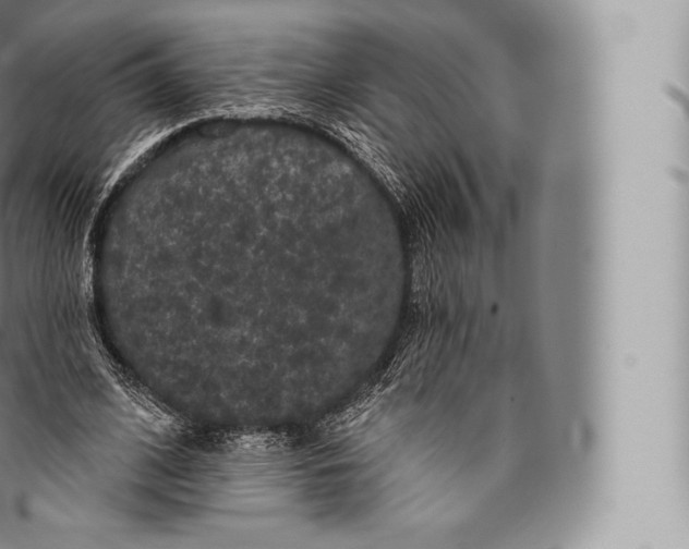 X0000096490584200802141747