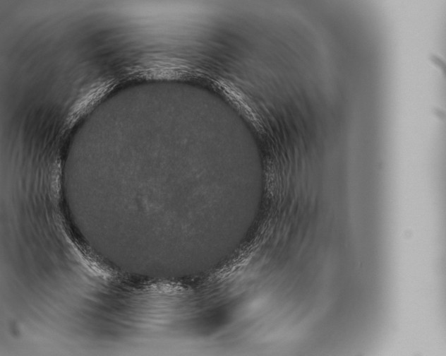 X0000096490586200802141747