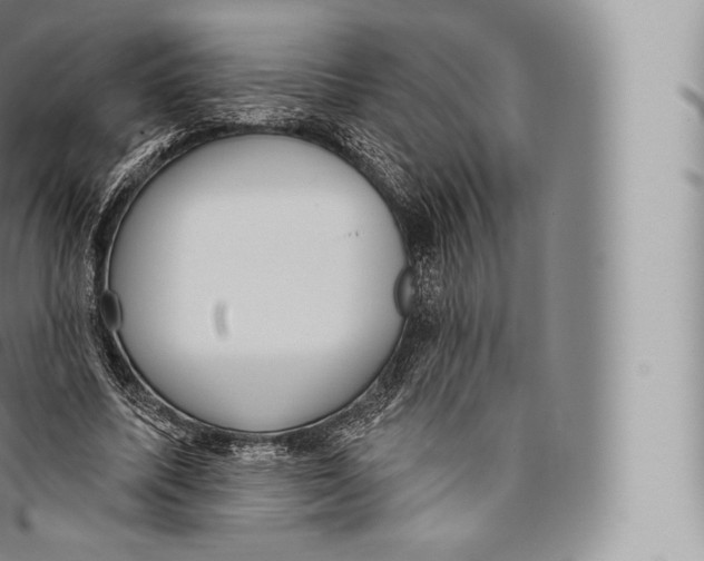 X0000096490587200802141747