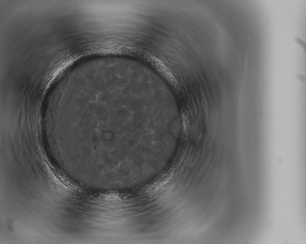 X0000096490588200802141747