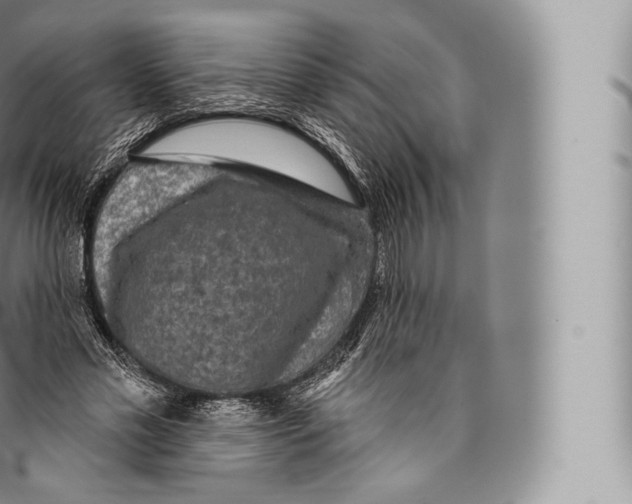 X0000096490589200802141747